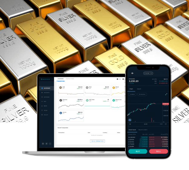 Monetary-systerm Software Development